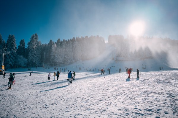 Снимка: THE LOCALS